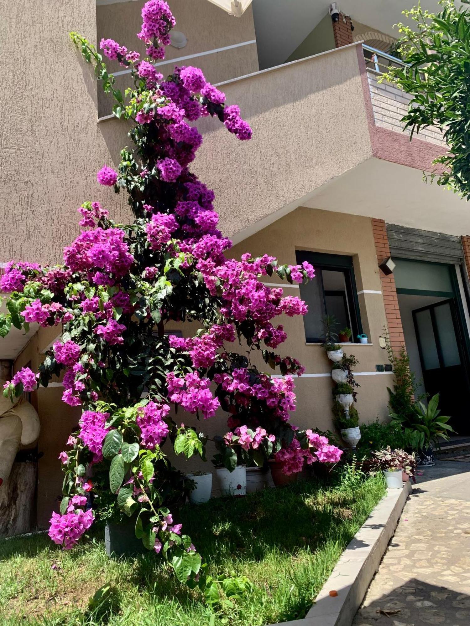 Serenade Beach Durres Exterior photo